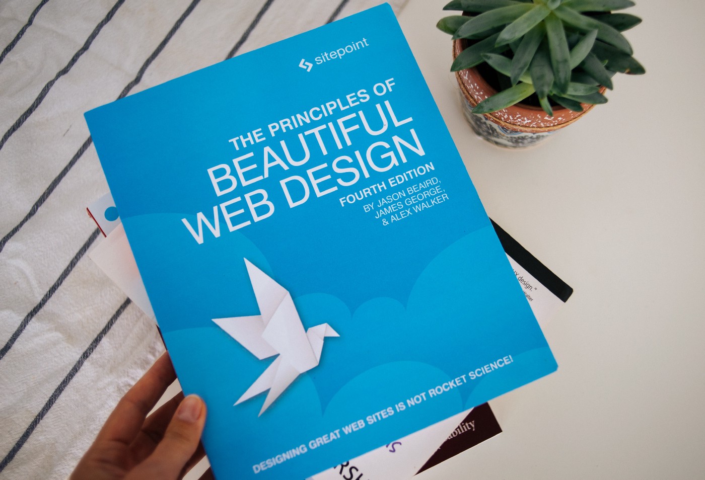 Photo of the book: “The Principles of Beautiful Web Design” by Steve Krug- courtesy of Elena Putina